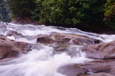 Scenic view of waterfall in forest