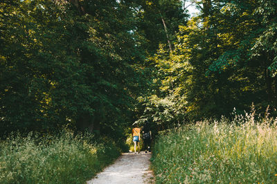 Rear view of people walking on plants