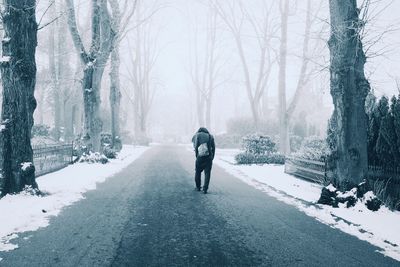 Rear view full length of man walking amidst trees on road during winter