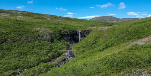 Scenic view of green landscape against sky