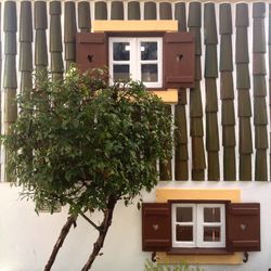 Low angle view of building