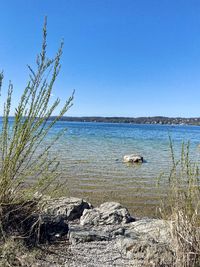 Scenic view of sea against clear blue sky