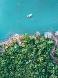 Drone view of beach