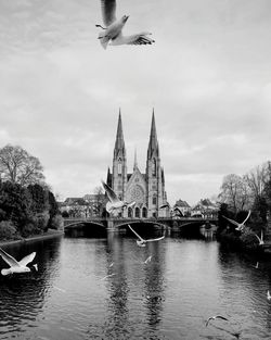 Seagulls flying over canal with historic church in background against cloudy sky