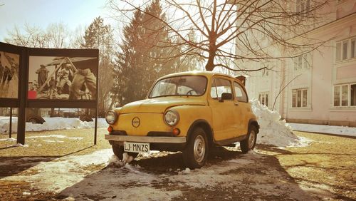 Vintage car on tree