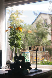 Potted plants on table at home