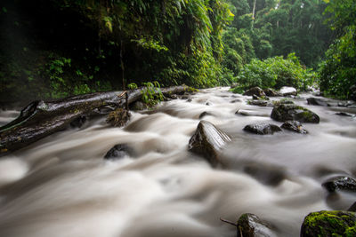 Scenic view of river flowing through rocks