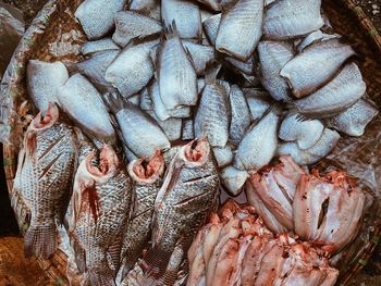 Full frame shot of fish for sale in market