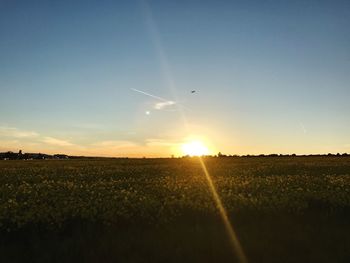 Scenic view of field against sky during sunset