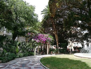 View of footpath along plants