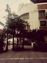 Street amidst trees and buildings in city