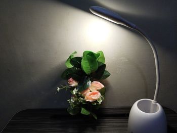 High angle view of potted plant on table