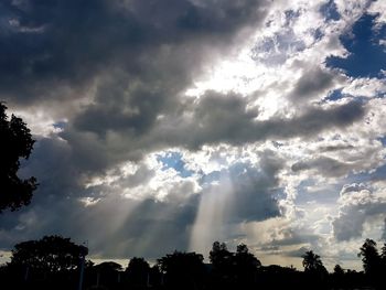 Low angle view of silhouette trees against sky