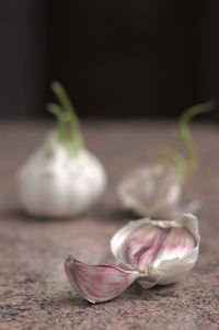 garlic