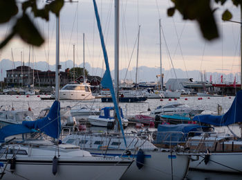 Sailboats moored in harbor