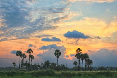 Scenic view of field against sky during sunset