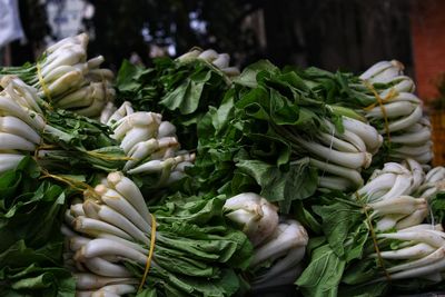 Bok choy at the farmers market 