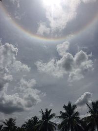 Low angle view of palm trees against sky