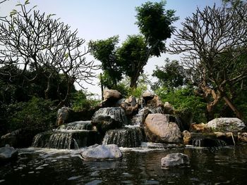 Trees by river in forest against sky