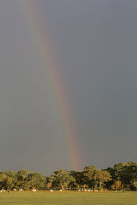 Scenic view of rainbow in sky