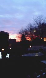 Silhouette of bare trees against sky at dusk