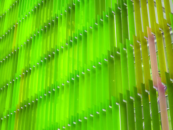 Full frame shot of green patterned wall