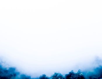 Low angle view of trees against sky