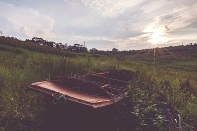 Scenic view of field against sky