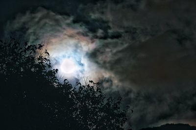 Low angle view of silhouette trees against sky at night