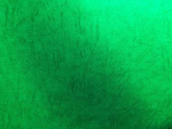 Full frame shot of empty green textured surface