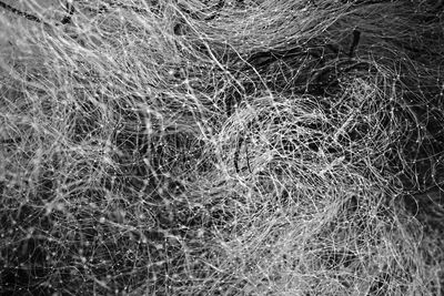 Full frame shot of grass on field