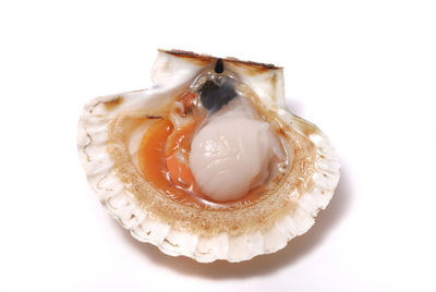 High angle view of dessert on white background
