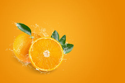 Close-up of orange fruit against white background