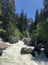 Stream flowing through rocks in forest
