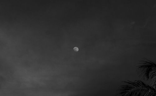 Low angle view of moon in sky