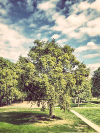 Scenic view of grassy field against cloudy sky