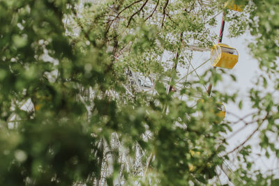 Low angle view of ferris wheel seen through trees