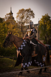 Horserider knight