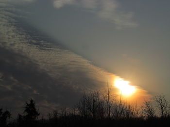 Silhouette trees against sky during sunset