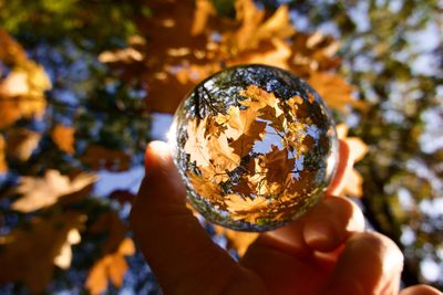 Cropped hand holding globe