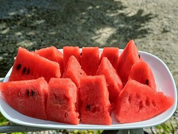 watermelon