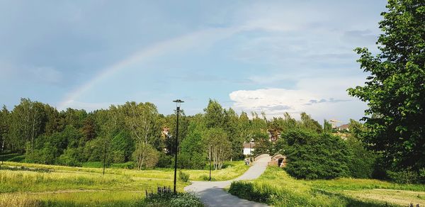 Panoramic view of road amidst trees against sky