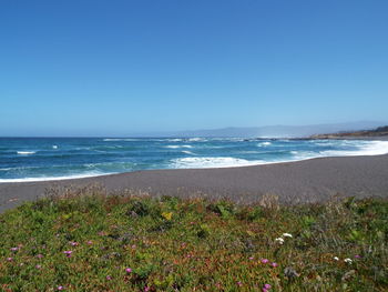 Scenic view of sea against clear sky