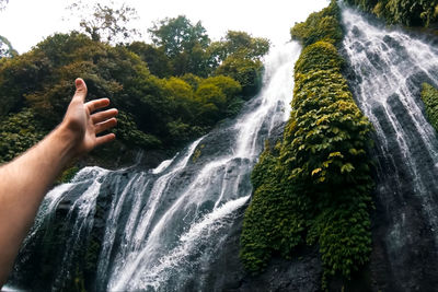 Scenic view of waterfall in forest