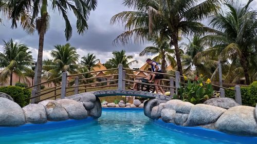 View of swimming pool in park