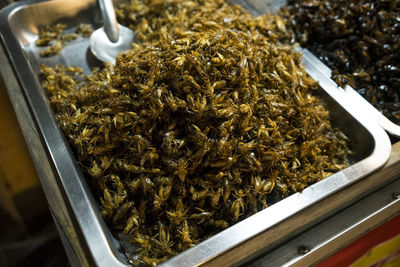 High angle view of fried insect in container