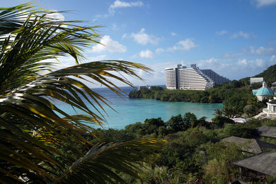 Palm trees and buildings against sky