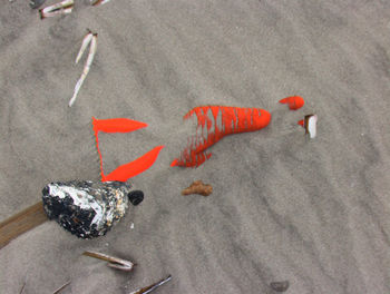 Directly above shot of abandoned orange glove on sandy beach