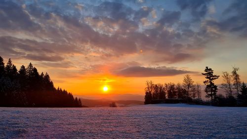 Snow covered trees against sky during sunset