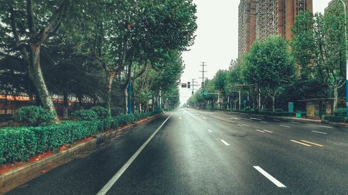 Empty road along trees and buildings